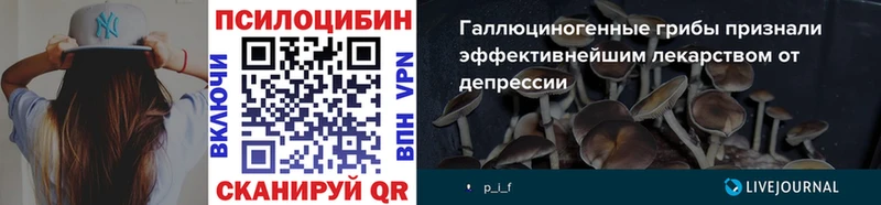Галлюциногенные грибы Magic Shrooms  купить закладку  Артёмовск 